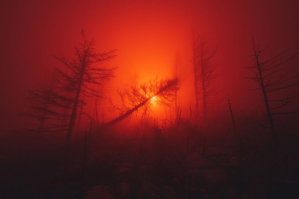 Photograph by Александр Сергиенко