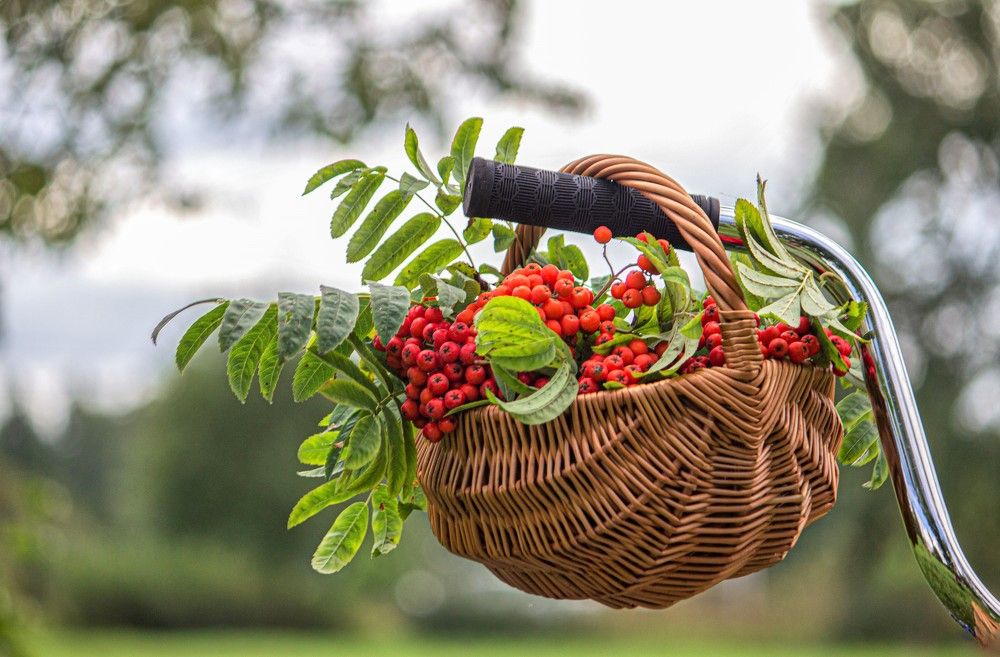 Photograph by Александра Шайдурова