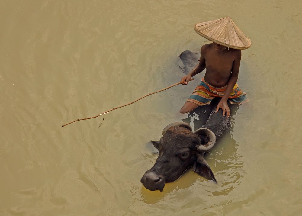 Photograph by Shibram Nag