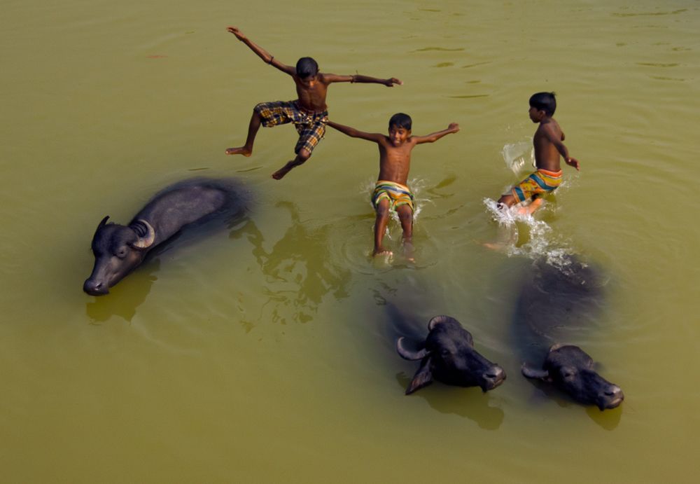 Photograph by Shibram Nag