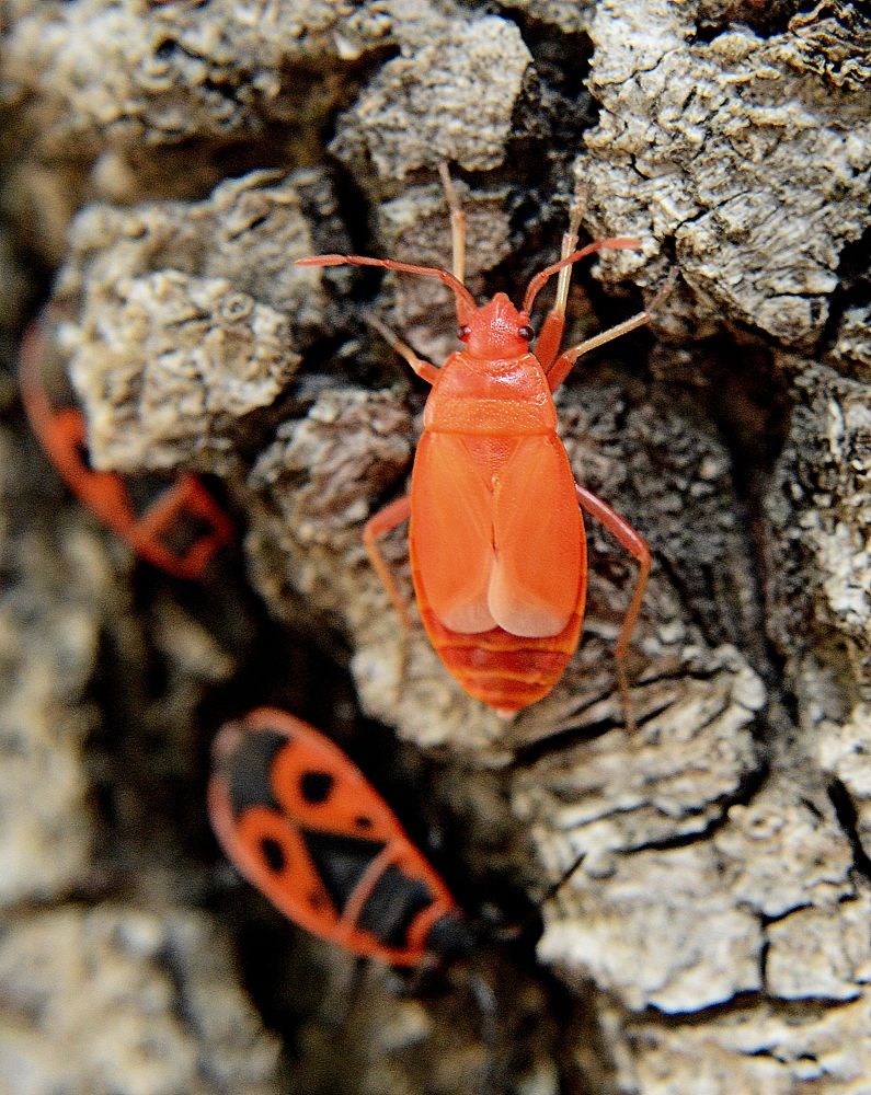 Photograph by Алексей Volg