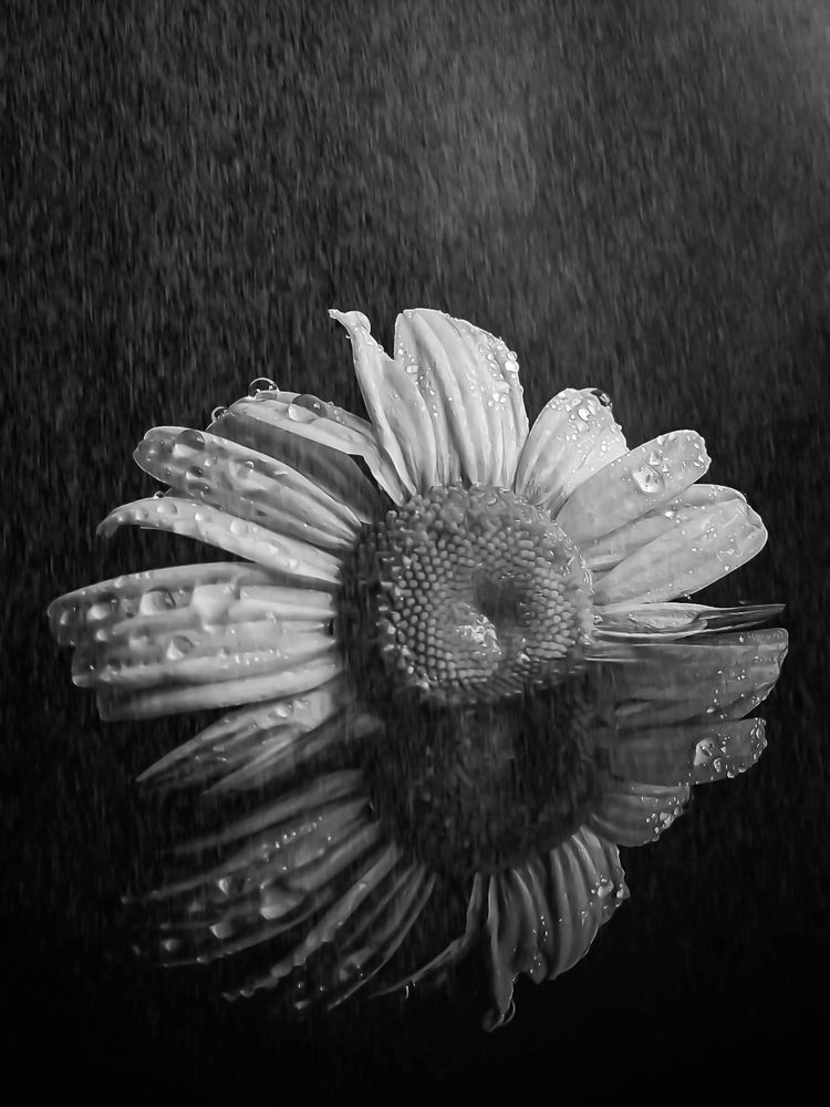 Купальщица).