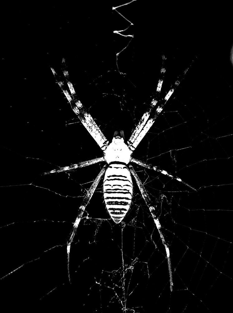 Photograph by Светлана Хамитова