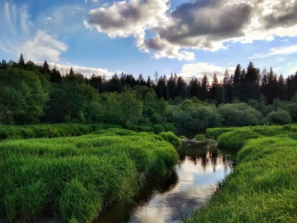 Photograph by Алексей Копылов