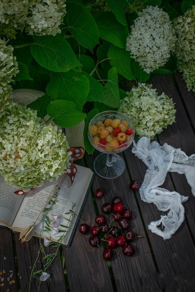 Photograph by Redjulia