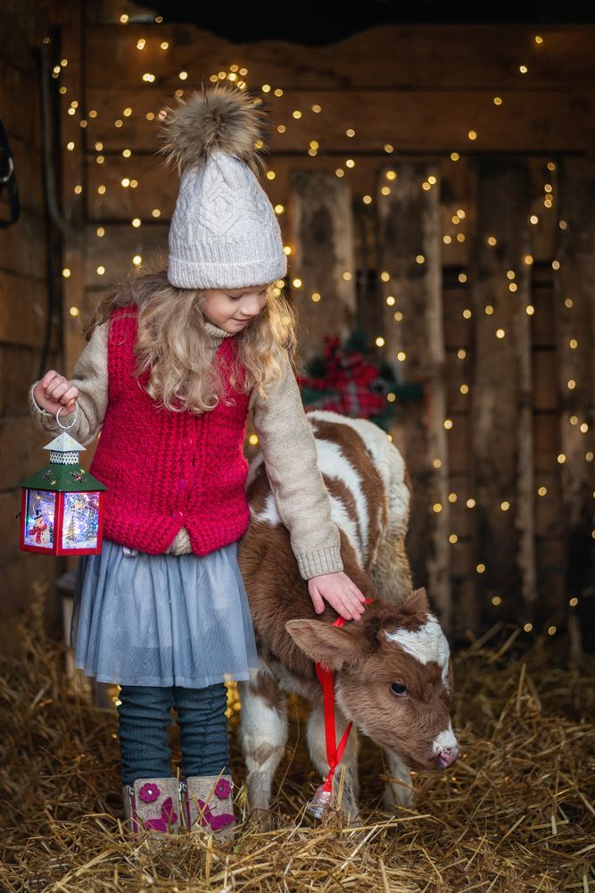 Photograph by Sergey_photovl Sergey_photovl