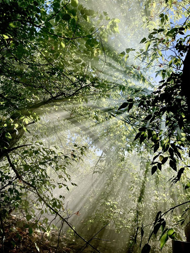 Photograph by Юлия