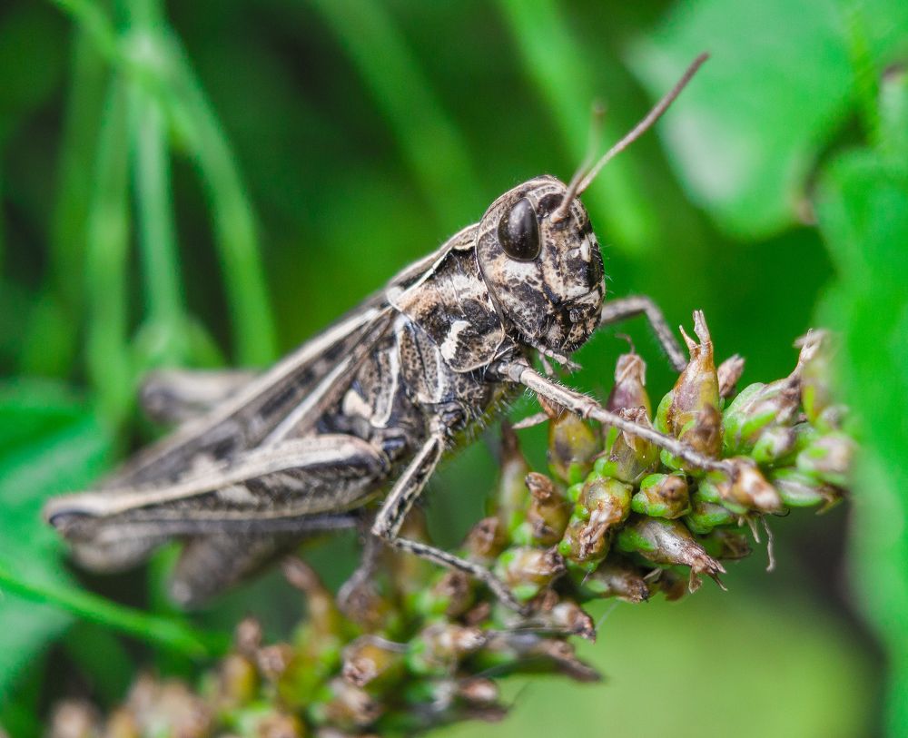 Photograph by Нина Минченко