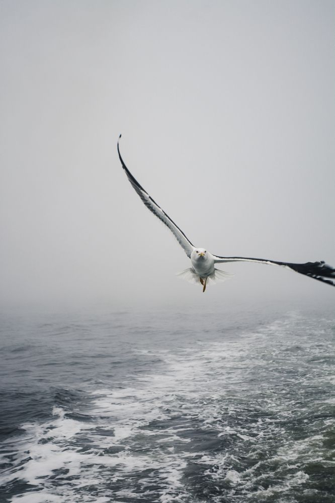 Photograph by Алёна Лозовая