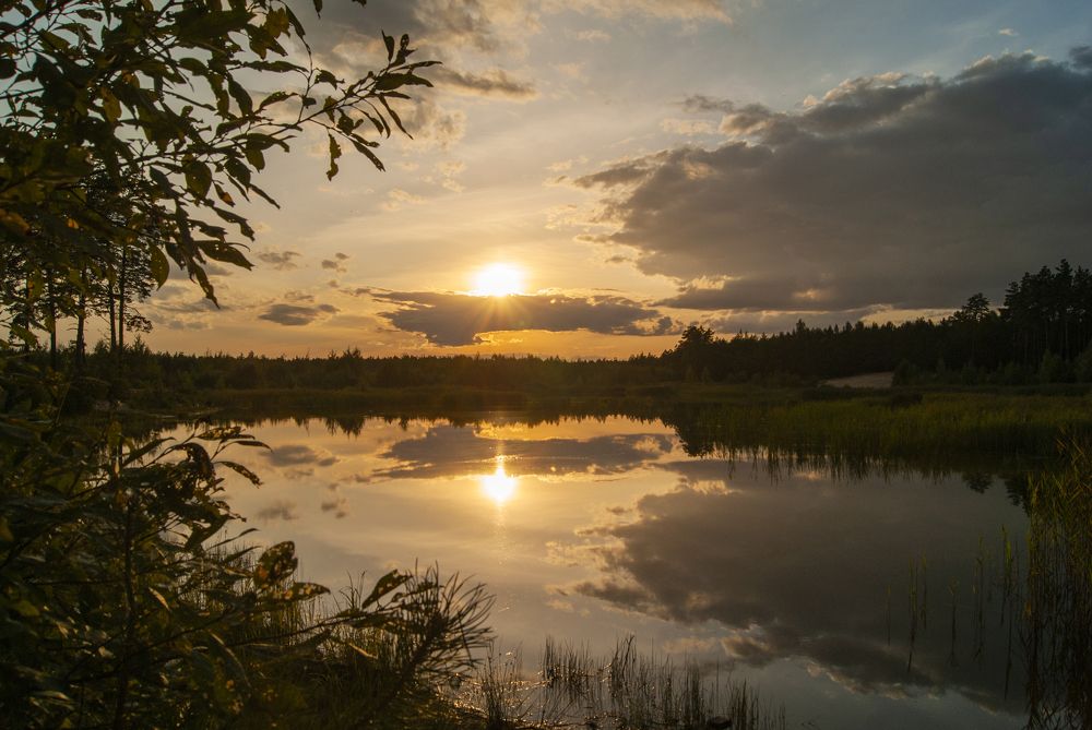 Sunset on the forest lake