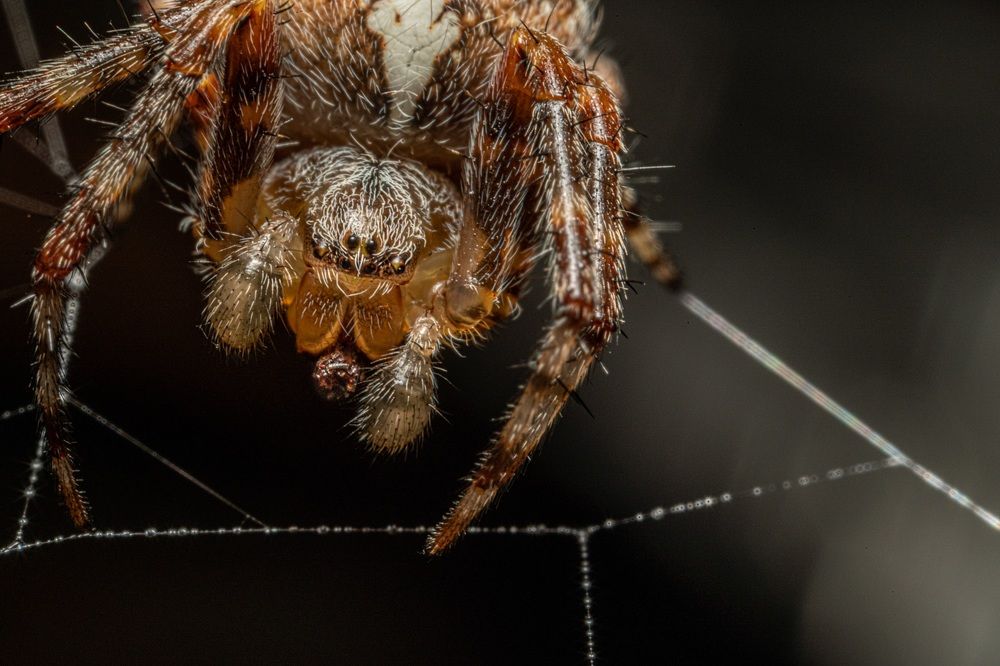 Photograph by Марина Беликова