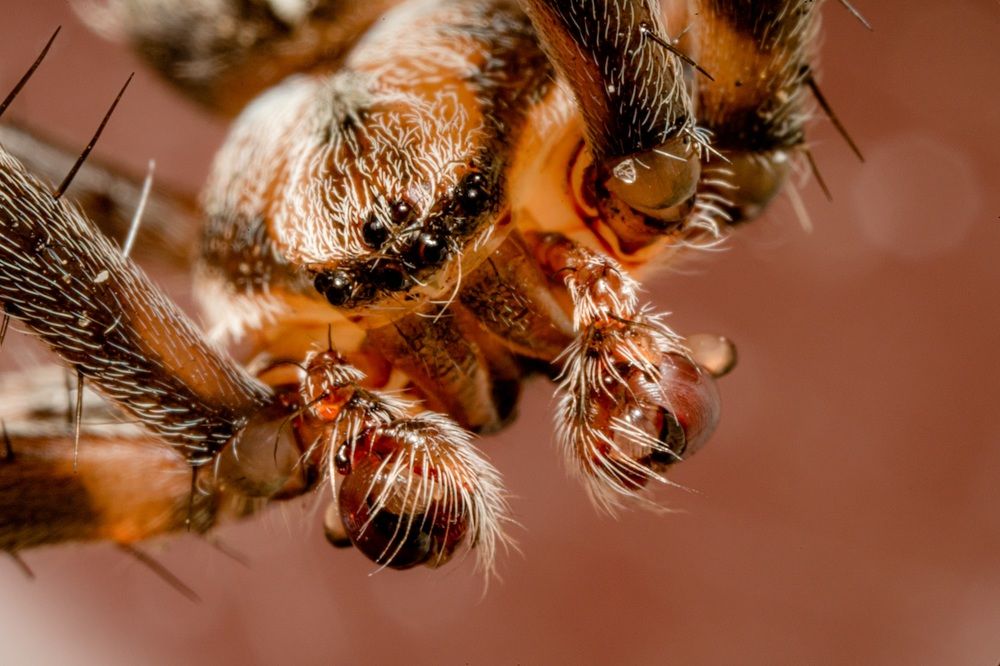 Photograph by Марина Беликова