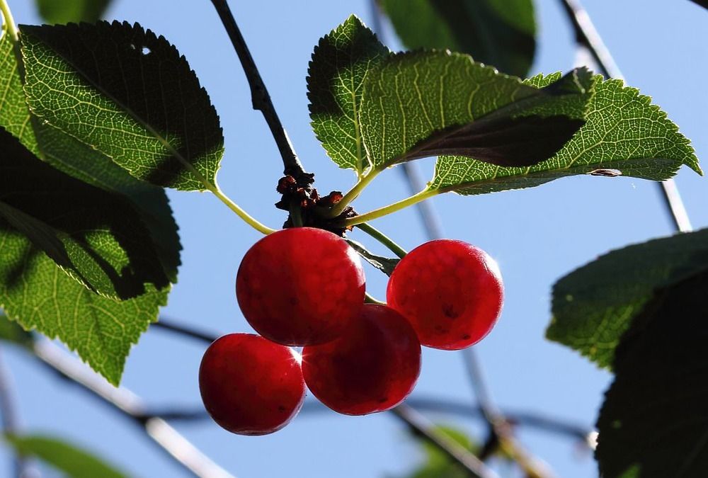 Photograph by Юрий Варюхин