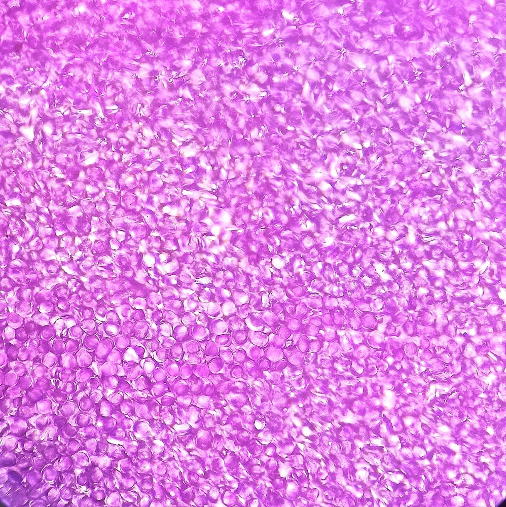 Photograph by San Yu Maung