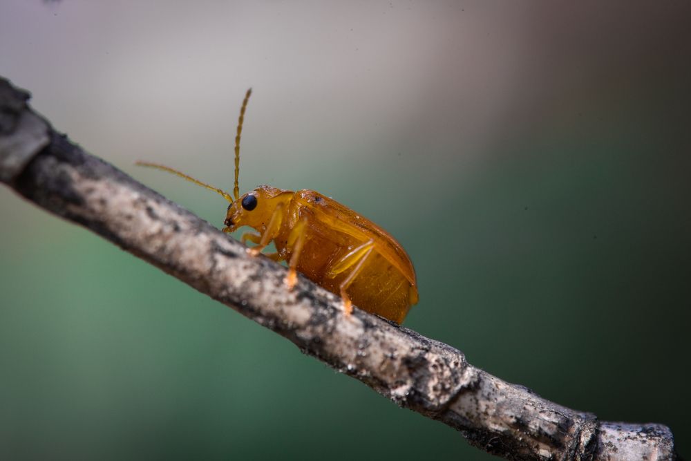 Photograph by Dhrubajyoti Bhattacharyya
