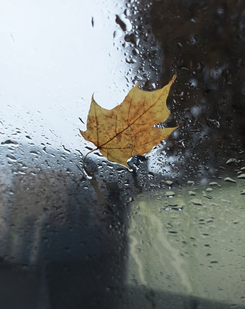 Photograph by Галина Мицевич