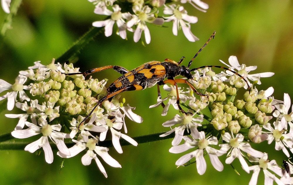 Photograph by backareva irina