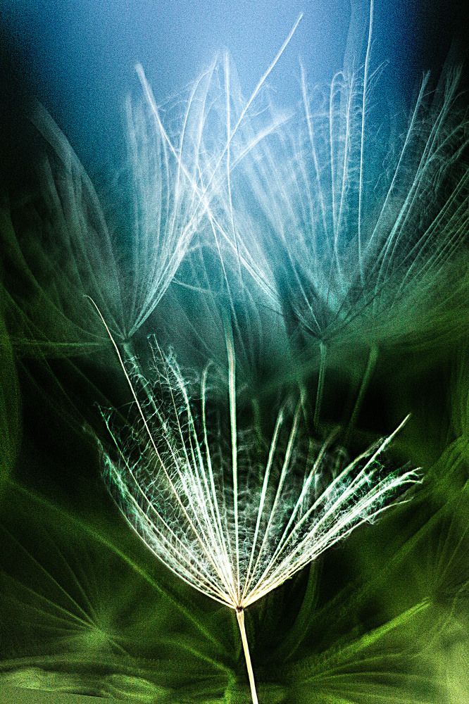 Photograph by Anna Suchcicka