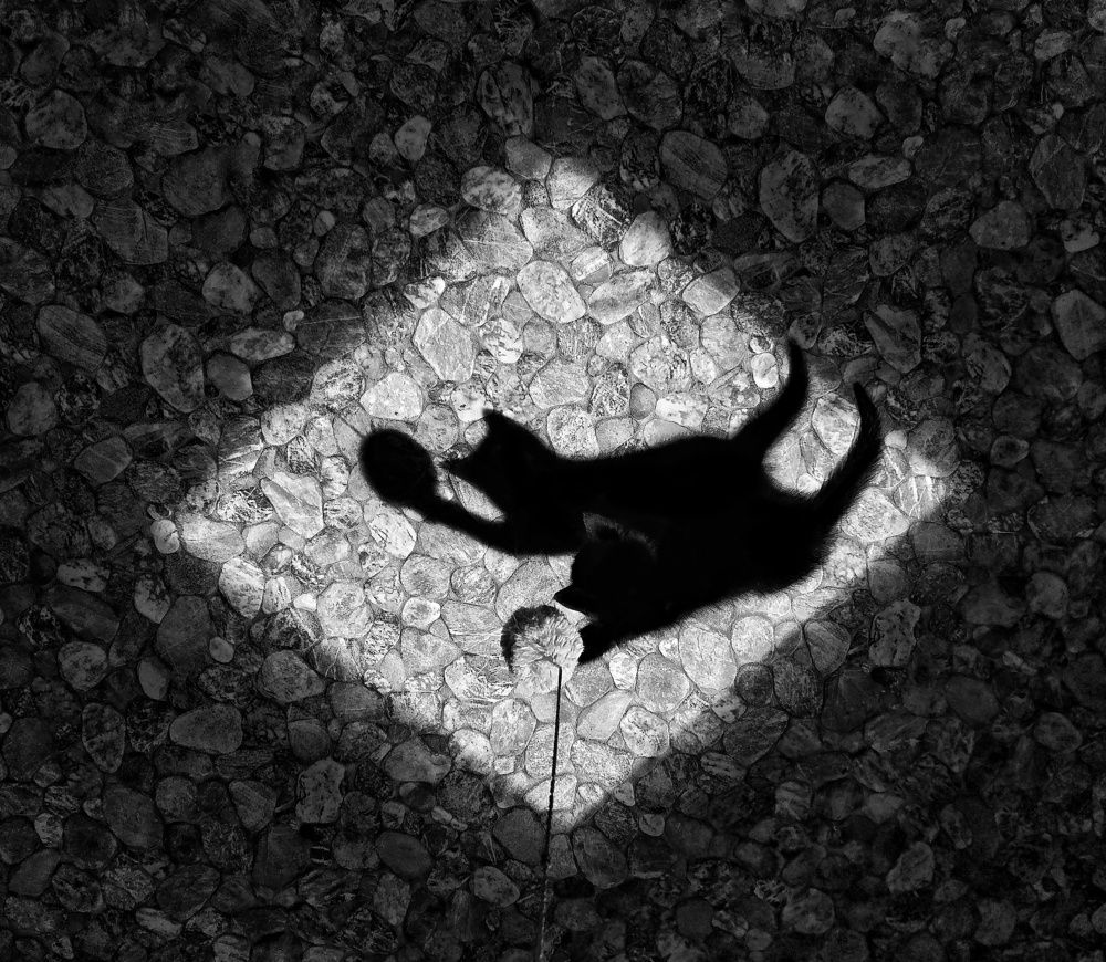 Photograph by Наталья Ерёменко