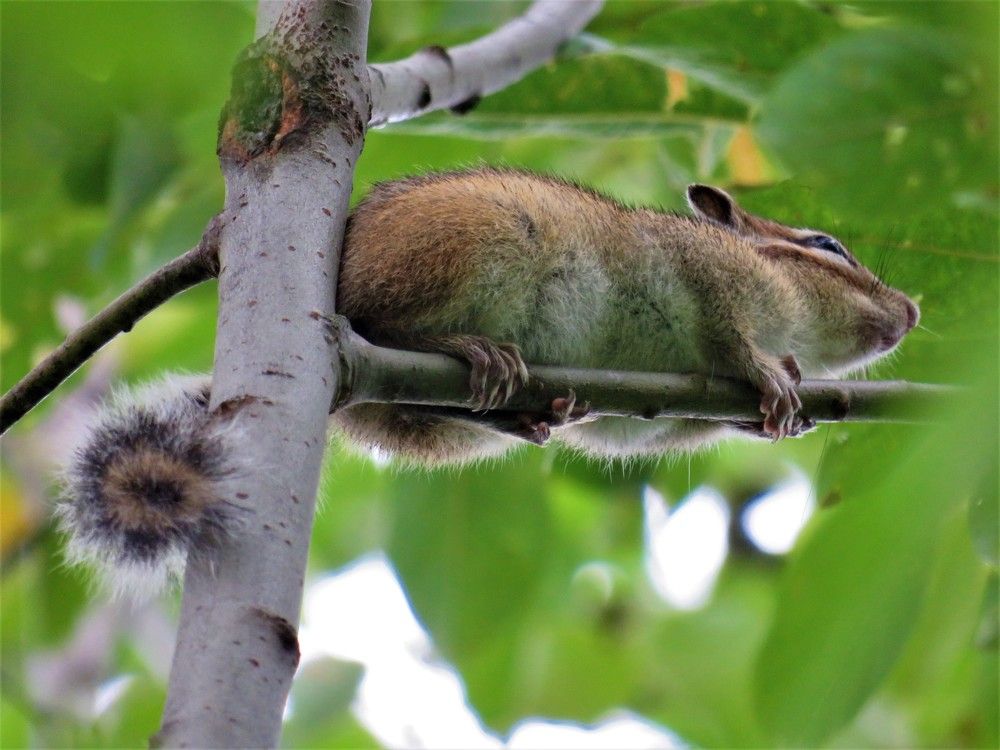 Photograph by Людмила Кононова