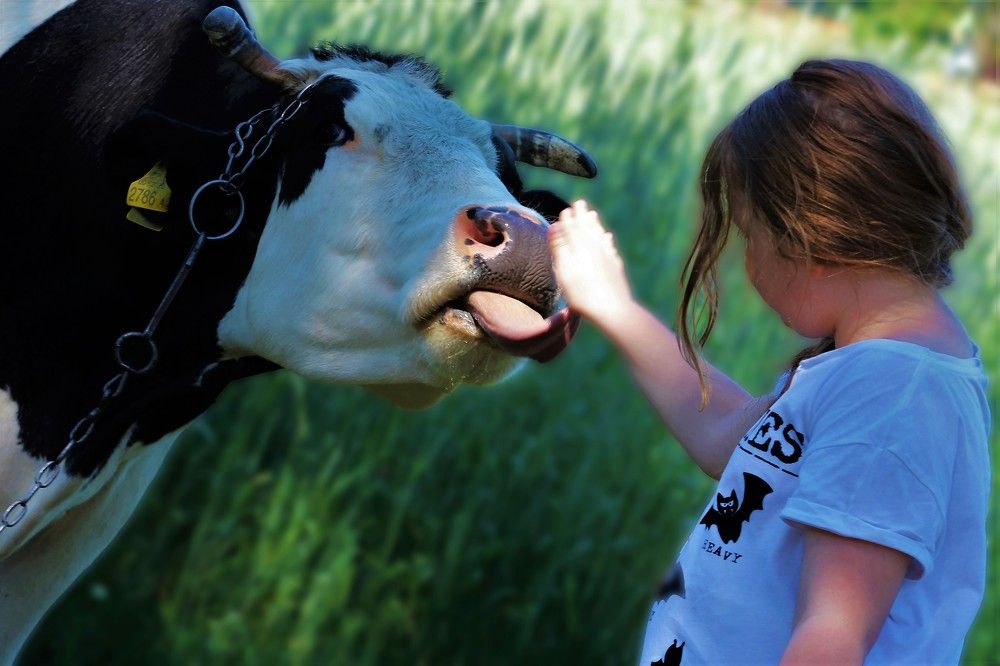 Photograph by Anna Suchcicka