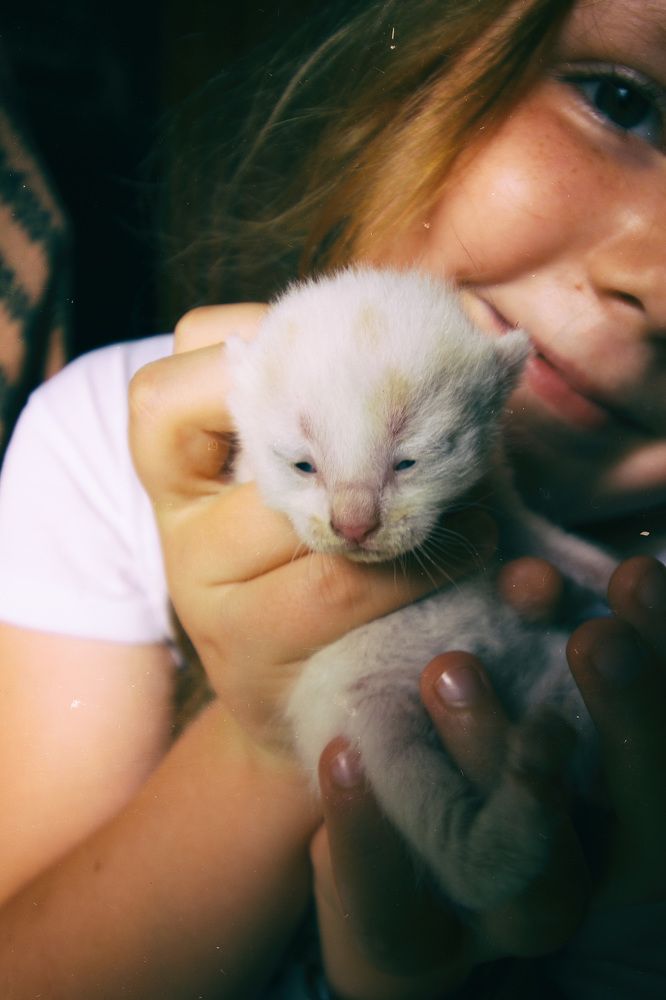 Photograph by Anna Suchcicka