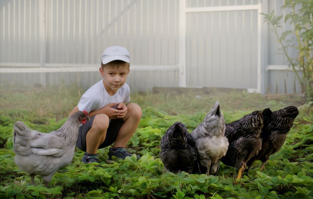 Юный фермер