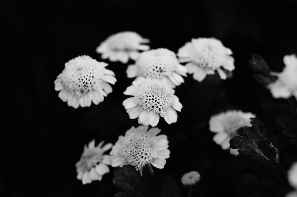 Photograph by Светлана Ковальчук