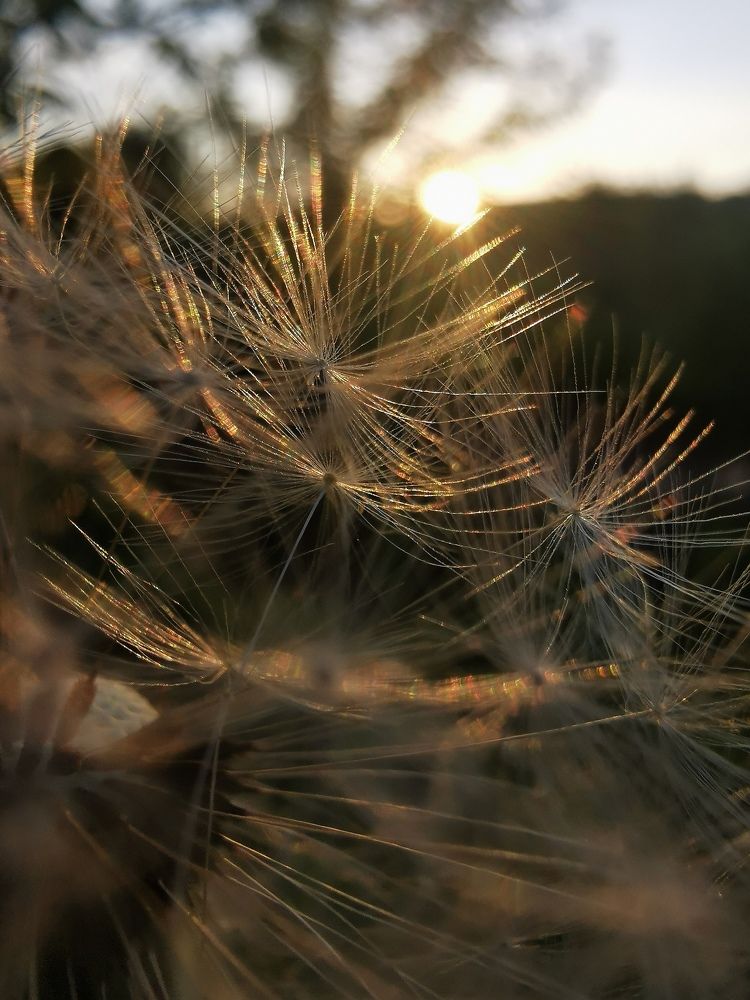 Photograph by Людмила Орловская