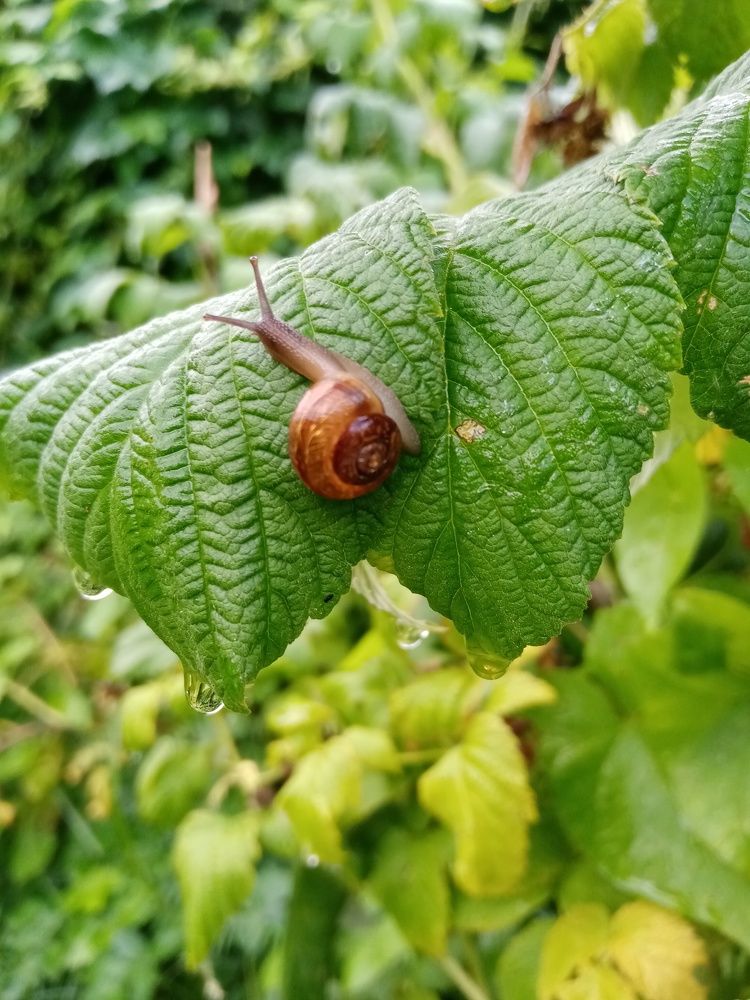 Фотография автора Natalia Khodina