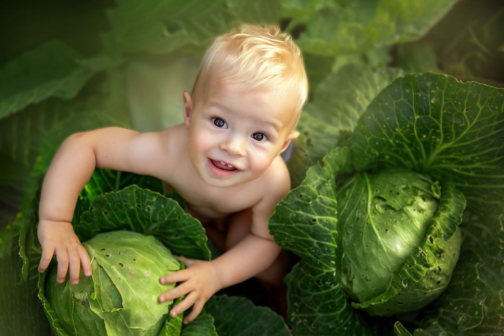 Фотография автора Регина Гущина