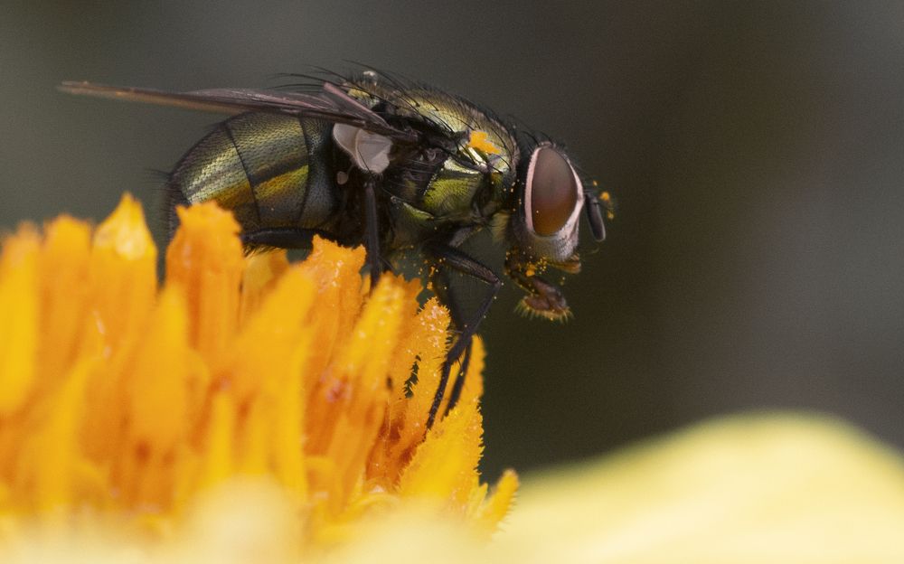 Photograph by Владимир Михайлов