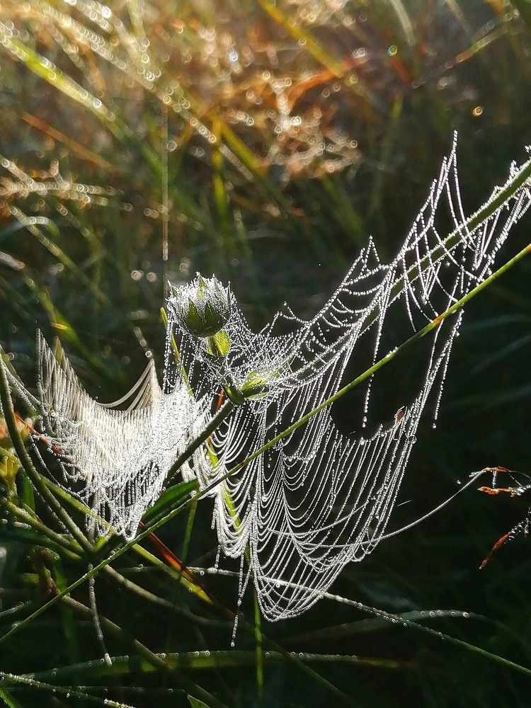 Photograph by Виктор Шубин