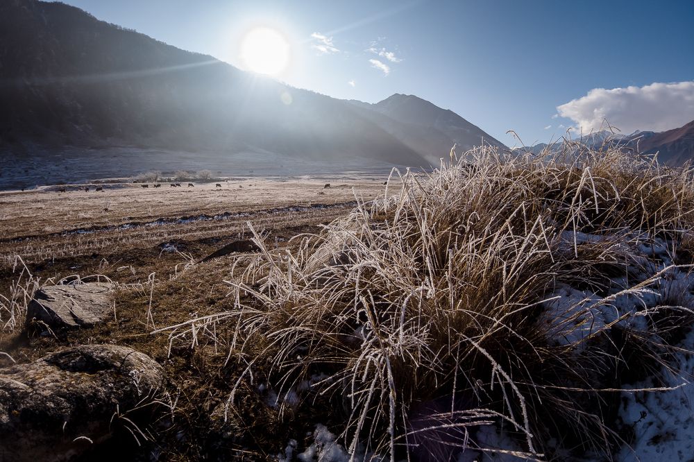 Photograph by Timofey Gorlov