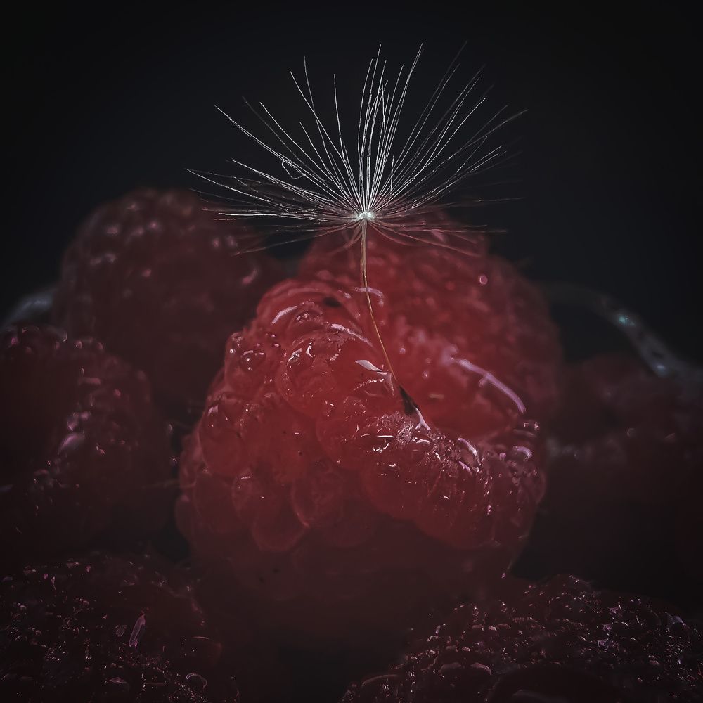 Photograph by Кристина Ковальчук