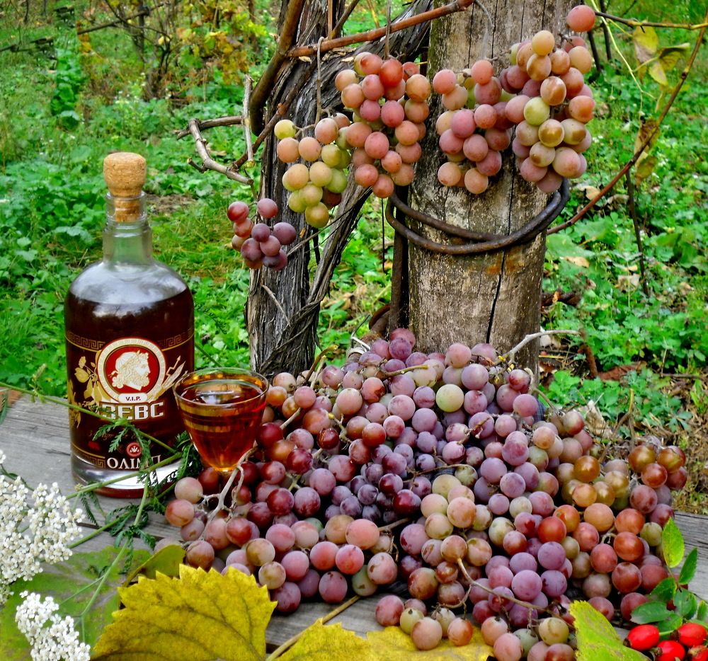 Photograph by Владимир Подкуйко