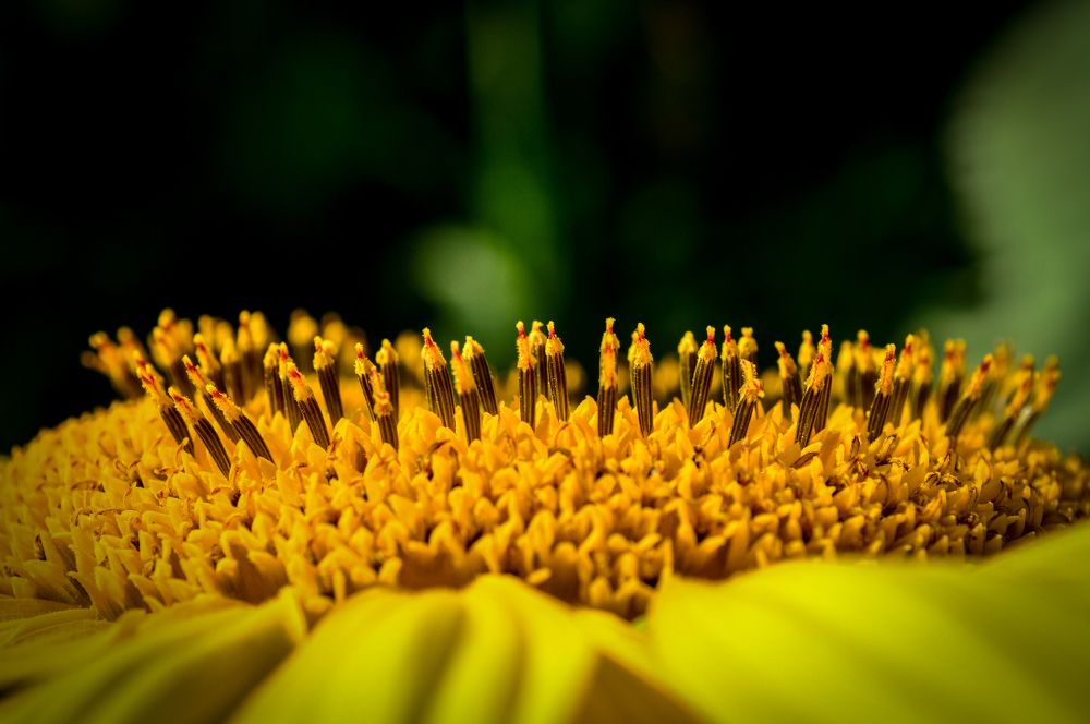 Photograph by Ренджа Шарип