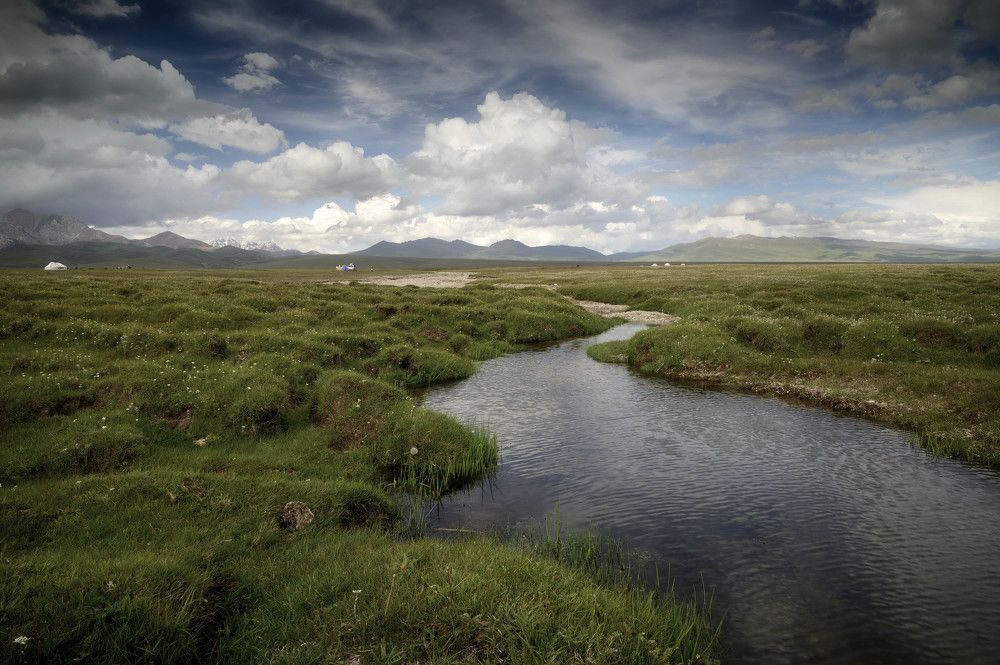 Photograph by Laima Kuriene