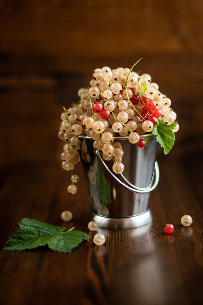 Photograph by Ольга Жидких