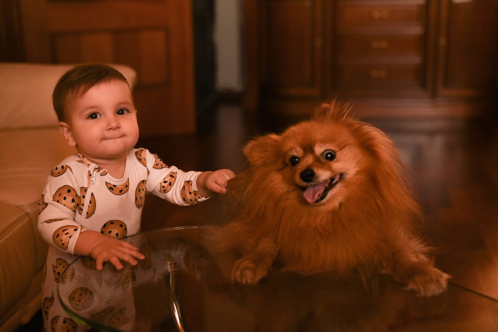 Photograph by Ольга Жидких