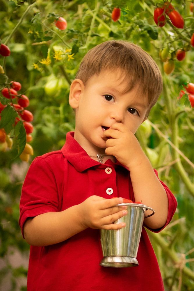 Photograph by Ольга Жидких