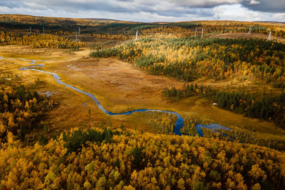 Photograph by Timofey Gorlov