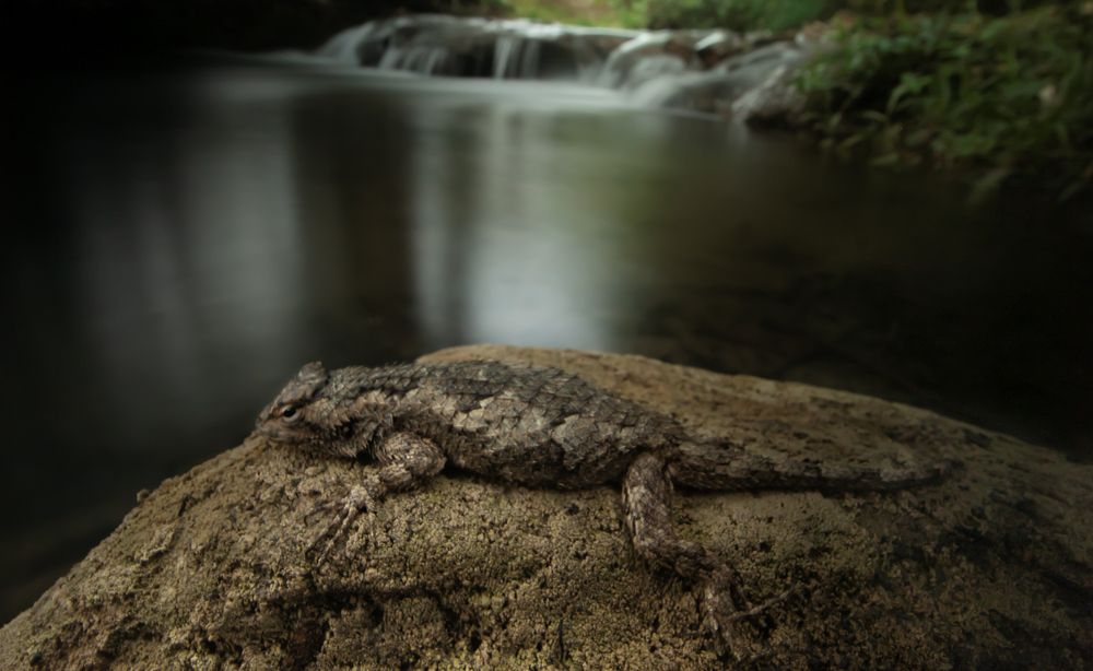 Photograph by Omar Torres