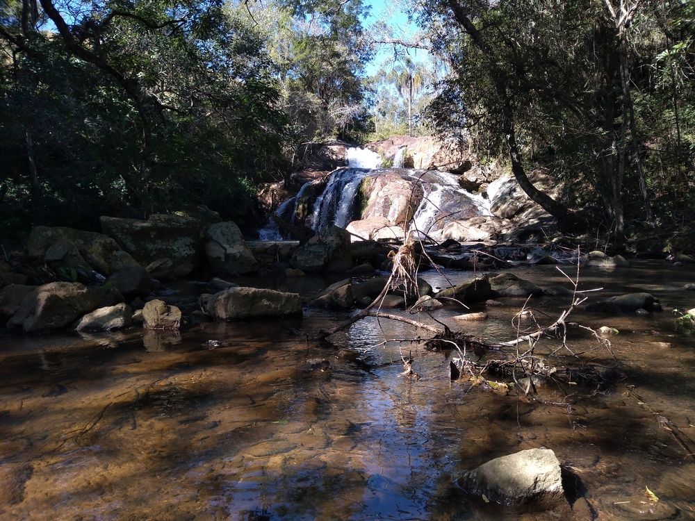 Photo #6420867