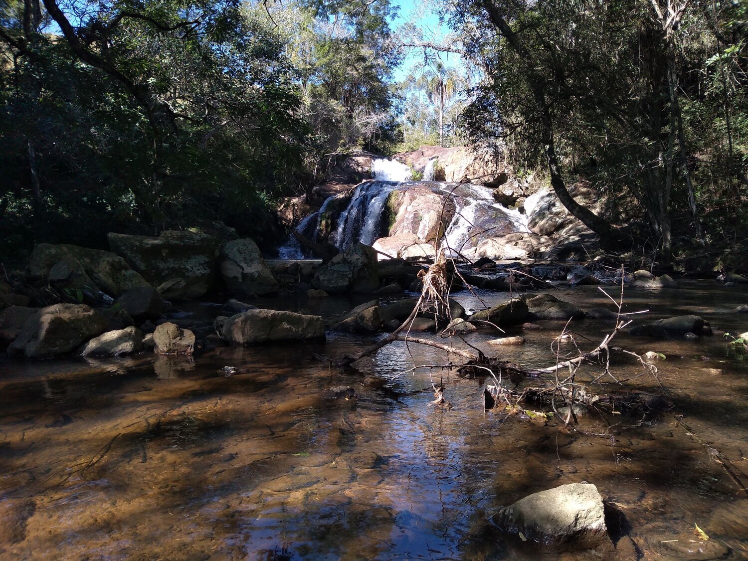 Photo #6420867
