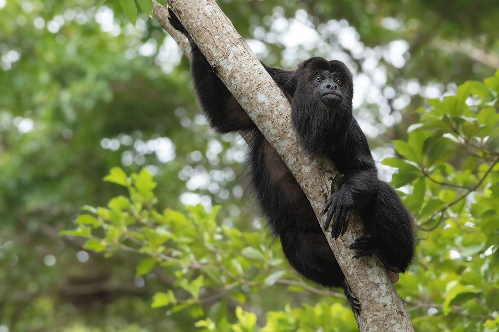 Photograph by Omar Torres