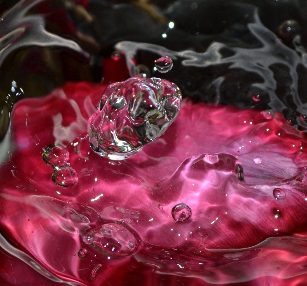 Photograph by Ольга Хромова