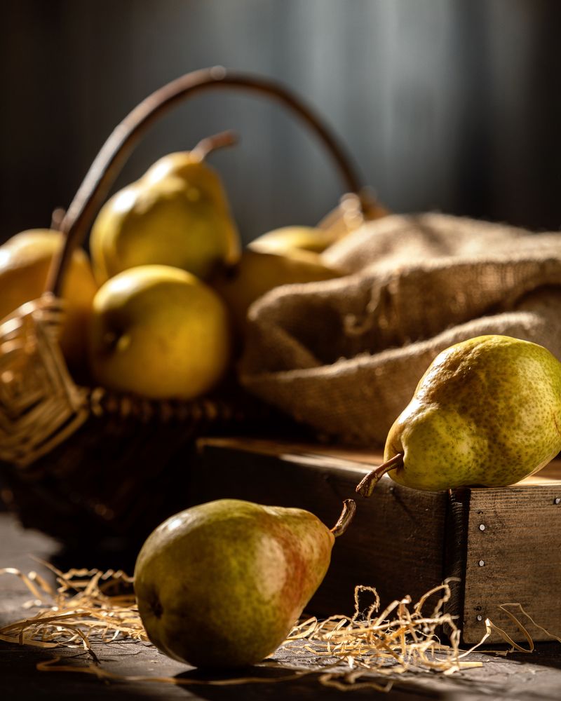 Фотография автора Дмитрий Герц