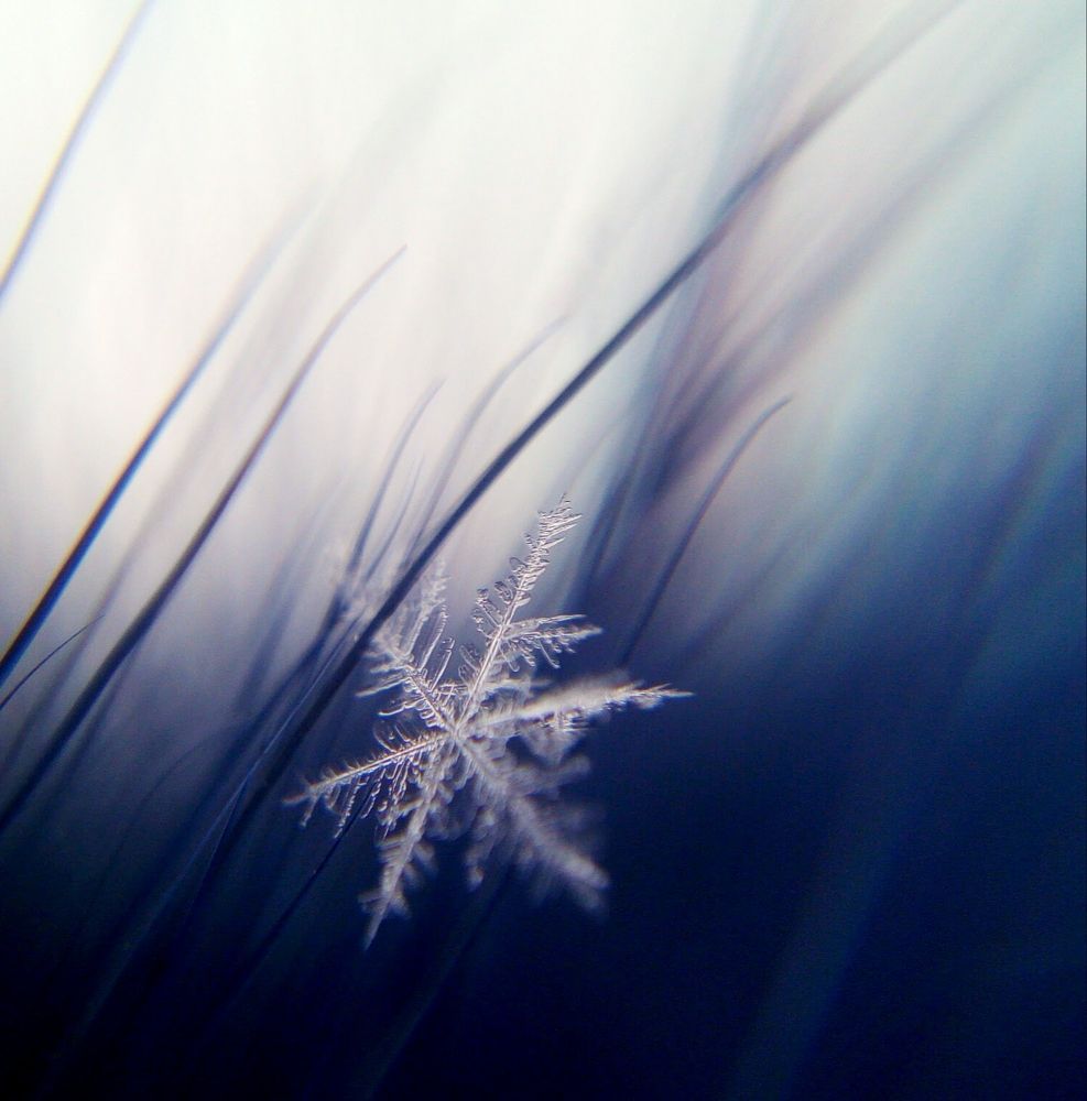 Photograph by Ольга Хромова