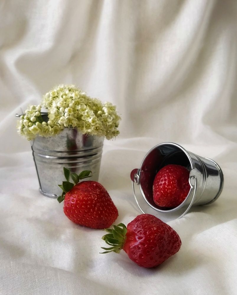 Photograph by Елена Бохолдина